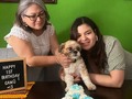 Gamū, Gamū-chino, Gamūza cara de peluza, Chicle, Chato, Bebé, Caramelo.  El niño consentido de la casa estos últimos 4 meses, cumple su 1er añito. Y pareciera mentira pero está bajo contrato en la casa de mi mami, ahí está. Ella lo hizo, me hizo firmarlo y hasta la fecha se lo he cumplido. Lo que más risa me da es que la que no lo quería es la que más bonito le habla en la casa, le da sus buenos días con vocecita chiquita, lo abraza, noooo, se lo re-mega apapacha. En fin, creo que en la parte en la que en el contrato dice que me lo llevaré a mi casa cuando me case, a la que más falta le va a hacer es a ella. Te amamos, @pattyrosales9 ♥️ Gracias por dejarnos llenarte el comedor nuevo y tú piso de pastel para mí bebé. 😅🤣