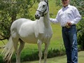 #tbt Las Moras que enamoran 😍, reproductoras probadas  1. Luminosa de La Plata (Salerosa de La Plata x Rey del Destello)  Madre de Iluminada de La Plata   2. Nieves de FG ( Parrandero de Mi Capricho - DS x Nieves de Monasterio - Cortesano de La Vitrina FC) Madre de Inmaculado de La Plata   @criaderolaplata  @criaderolaplata  @criaderolaplata