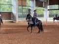 1 y 2. Radiante de La Plata (Iluminada de La Plata x Aarón del Jazmín)  3. La Madre; Iluminada de La Plata (Luminosa de La Plata x Arco Iris del Tesoro)  4. El Padre; Aarón del Jazmín.   5. Genealogía de Radiante de La Plata   Hoy colocamos a la venta los primeros 30 saltos a $ 500.000  @criaderolaplata  @criaderolaplata  @criaderolaplata