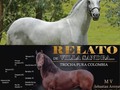 Gran Oportunidad - Venta Preñez de Luminosa de La Plata x Relato de Villa Sandra - abuela de nuestro potro Campeón Radiante de La Plata y de Reflejo de La Cristalina.  Madre de la Gran Iluminada de La Plata @criadero_11_potros   Luminosa de La Plata reproductora probada, transmitiendo calidad.   @criaderolaplata  @criaderolaplata  @criaderolaplata