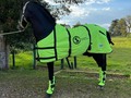 Radiante de La Plata (Iluminada de La Plata x Aarón del Jazmín)  “El Caballo”  10 Servicios disponibles a $ 1.000.000  Nieto mayor de Luminosa de La Plata, transmitiendo calidad  @criaderolaplata  @criaderolaplata  @criaderolaplata