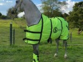 En Venta  Inmaculado de La Plata (Nieves de FG x Mi Lord de Yerbabuena)  54 Meses   @criaderolaplata  @criaderolaplata  @criaderolaplata