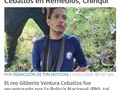 Hay papaaa ALGUIEN RESOLVIÓ SUS CARNAVALES