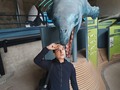 Una de las actividades más crueles que se desarrollaba en nuestro país era la caza de ballenas.  Aproveché mi paseo a Quintay para conocer el museo Ex Ballenera.  Tiene diferentes módulos tanto pedagógicos e históricos. Les adelanto que muchos de los vídeos son imágenes muy fuerte.  En una de las fotografías les dejo el horario de funcionamiento y pueden fácilmente llegar usando la app Map .  @chiletravel @chile_estuyo @sernatur_valpo @sernaturchile