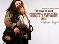 🪄🧙🏻‍♂️VARITAS AL CIELO🎆  😢El actor Robbie Coltrane, que dio vida al icónico #Hagrid en las películas de #HarryPotter, falleció a los 72 años de edad por complicaciones de salud.  #potterhead #potter #harrypotterfan