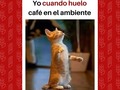 Hay algo que nos pone de buen humor a todos😌  Un olor tan delizioso, cómo un abrazo al corazón ❤️  Te esperamos hoy, hasta las 7:00 pm🌟 . . . . 📍Av. Rafael Gonzalez con Av. Los Claveles. 📲 +58 4126675896 🛵¡Delivery a todo Punto Fijo!