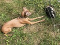 Best pals!