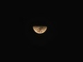 Luna -11 noviembre -10:58 pm