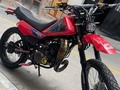 Ready el toro 😈🔥🔥 #bikelife ALMACÉN FREESTYLE 258 @almacen_freestyle_258 @almacen_freestyle_258 @almacen_freestyle_258 @almacen_freestyle_258