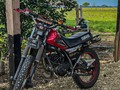 Ready el toro 😈🔥🔥 #bikelife  ALMACÉN FREESTYLE 258 @almacen_freestyle_258 @almacen_freestyle_258 @almacen_freestyle_258 @almacen_freestyle_258