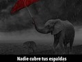 Buenas noche 🤫🙏🏻