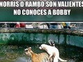 jajajajajajajaja todo un loquillo el Bobby jajajajaj