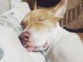 La dueña de mis millones 😍😍😍🤣🤣 bien dormida, como quien no quiebra ni un plato 🤣🤣🤣