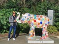 Donde vea un elefante me voy a alegrar, me emocionaré, sonrío y me tomo una foto ! PD. Y donde la gente ve un elefante se acuerdan de mi, otros les han empezado a gustar los elefantes también! 🙋🏼‍♂️❤️😍🐘📷 #melbourne #zoo #melbournezoo #happy #smile #love #australia #victoria #travel #family #tripadvisor #elephant #elephants #iloveelephants