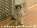 De pequeño con tres quetzales de tortilla, dos tortrix y cinco quetzales