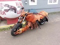 Las motos en la costa 🦀