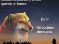 Nunca esta demás dar estos consejos 🤣🤣
