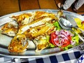 Con este "machote", finalizamos la comida del XX cumpleaños de este otro machote que le hizo la foto. Estaba riquísimo, recién pescado, y muy bien planchado por las hábiles manos de las chicas de @marisqueriacasasilvio. Una buena forma de celebrar una ocasión especial, en un restaurante de confianza, de máxima calidad y excelente trato siempre.  Todo mi apoyo al gremio de la restauración, que tan mal lo.ha pasado los dos últimos años, tanto en mi #Cantabria natal como en #Cataluña. Dentro de lo que cabe, hay que apoyarles, mientras podamos. . . . . . #machote #pescado #parrilla #casasilvio #restaurante #tetuan #comerensantander #comerencantabria #calletetuan #santander #santanderciudad #turismosdr #cantabria #cantabriaturismo