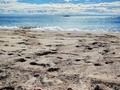 Hace una semana del último día que fui a la playa y ya la echo de menos ...  Aquí en el #Mediterraneo tenemos la suerte de que el verano se prolonga con el #veroño hasta... octubre o así. No hay fecha fija para despedir la temporada playera, aunque yo siempre trato de estirarla hasta finales de octubre. Hubo un año que llegamos hasta mitad de noviembre, pero fue una situación récord, que nunca sabemos si se volverá a producir. Mientras tanto, aprovechamos hasta el último rayo de sol, si las tormentas nos dejan, que el agua del mar aún está a 23°, una temperatura muy bañable para un santanderino #STV como yo. . . . . . #playa #verano #verano2022 #baixllobregat #bañosdeola #bañosdesol #igerscatalonia #igersbarcelona #igersbcn #addicted_to_catalonia #viladecans #platjadelamurtra #playafilipinas #playaviladecans