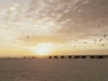 Sunset Cinema
