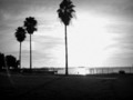 Sunset at Clearwater Beach - Holga Version