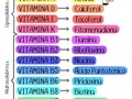 Las vitaminas son escenciales para el metabolismo ya que actúan en los sistemas enzimá para metabolizar las proteínas, grasas e hidratos de carbono. Son indispensables para el crecimiento y desarrollo además, colaboran en la construcción de células, tejidos y órganos. #anatomia #Fisiología #Vitaminas #biologia #Bioquímica #Ciencias #Likepalmer @likepalmer
