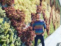 Tan solo escuchar el nombre se antoja tener un jardín de suculentas en casa. La perfecta geometría de muchas de ellas replican la espiral de Fibonacci conocida como proporción áurea, lo que las hace tan bellas y armónicas. #Suculentas #ReinoVegetal