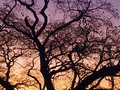 Siempre llevas contigo una parte de mí.   Puedes encontrarme en los paisajes bonitos, en el cafe de la mañana, leerme en poemas, buscarme dentro de ti o bien cerquita del corazón de Dios.