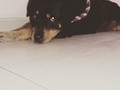 Mi princesa tu mirada no se me olvida ❤️🥰🖤
