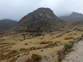 "Mi deseo es quedarme así siempre: viviendo con tranquilidad en un pequeño rincón de la naturaleza" - CM 🗻