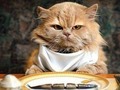 ¿Te pone de mal humor hacer dieta?🤐 Hay que encontrar la motivación en uno mismo y nunca para agradar a los demás.😎 Si te tomas la dieta como algo impuesto, te será muy difícil seguirla y además la vivirás como un castigo🙄, pero si eres tú el que toma la decisión y vives la dieta como algo que tú has elegido, te será mucho más agradable.🎊 ✋Te sugiero buscar🔎 tu razón para perder peso ⤵️crees que es simple? No tener claro el por qué es lo que te da la fuerza, tener claro ➡️hacia donde es lo que te da la motivación 🌹  Esta semana puedes dar mucho más de ti si te detienes a buscar estas dos respuestas‼‼ #metadic2020 #feb2020 #mamade2 #refeliz #masde40 #mujerescatolicas #Diosconnosotros #sinjefeysinempleados #emprendedora #dueñademitiempo #menosgrasa #masmusculo #alimentacion #reto21 #TRANSFORMACIONCORPORAL