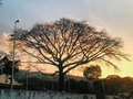 “No veo la miseria qué hay sino la belleza que aún queda”  A ver a ver sabes de quien es esta frase? . . . #photo #caracas #venezuela #nature #city #contraste #sunset #realidad #belleza #like