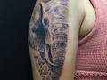 Elefante #elefantes🐘 #medellin #tattooartist #tattoos #blackandwhitephotography #black #blackelefante #artisttattoo @rodrigueztattoo__ @tattooproton @protonstencil @radiantcolorsink