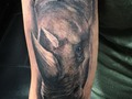 Rinoceronte espero sea de su agrado #rinoceronte #tattoos #blackgreytattoo #black #inktattoo #ink