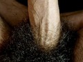 Les gusta los pelos ?