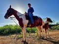 En #filmacion #siemprelisto #onset #shooting #filmmaker #panama #🇵🇦 #style #visualart #storyteller #workandfun #mentepositiva en la #locacion #finca y #caballos #photography and #films