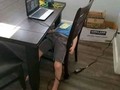 ¿Cómo va tu hijo con las clases virtuales?