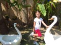 Dahimary Aguiar