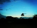 #Madrugando #InstaMoment#Siembra #Maiz #MorningWork #Instapic #Monte
