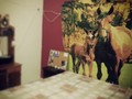 #New #color #cuarto #NoDiPaPoneloEnIngles #EXITOOOOO yo hablo ingels pero despacito
