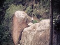 2014-06-24 23:51:43