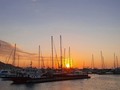 El éxito llega para todos aquellos que están ocupados buscándolo. 🌅