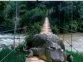 Pretty sure this is the same bridge I crossed to get to 2021. It should be easier the second time. Thats a very big 'Omicrocodile'! Best of luck to all.