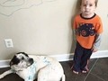 Esto es muy cómico y hoy necesitamos ese gozo. La risa remedio infalible, los niños y su autenticidad, lo máximo. Esto también pasará. Gracias Jesus.