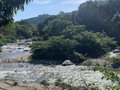 Quien no se levanta feliz con esta vista 🌳🌳🌵😍😍