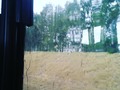 Hermosa lluvia...