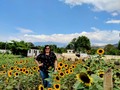 Los girasoles acaban mirando la luz del sol, pero atraviesan mucha suciedad para poder lograrlo.🛢️🌻  - J.R. Rim  #effyourbeautystandards #fatbody #fatgirl #plantsplantsplants #fullbodypicture #antiguaguatemala #guatemala #streetphotography #natureloversgallery #bigbeautifulwomen #daylightpictures #modelwannabe #flowersofinstagram #naturephotography #plantslover #afternoonphotography #laantiguagt #haes #fuckdietculture #summerseasonphotos #autoestima #bigbeautifulwomen #beyourself #memyselfandi #bigwoman #sunlovers #sunphotography #girasoles #girasolesguatemala #naturalezagt #imagencorporalpositiva