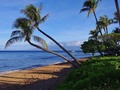 Two Palms #hawaii #maui #sunrise #ocean #pacificocean #oceanlife #beach #lifesabeach