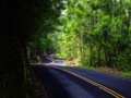 Road to Hana #hawaii #maui #roadtohana #landscape #islandlife #snorklife