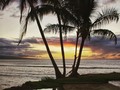 Sunset by the Pier #hawaii #maui #malapier #sunset #landscape #palmtrees #ocean #oceanlife #islandlife #pacificocean